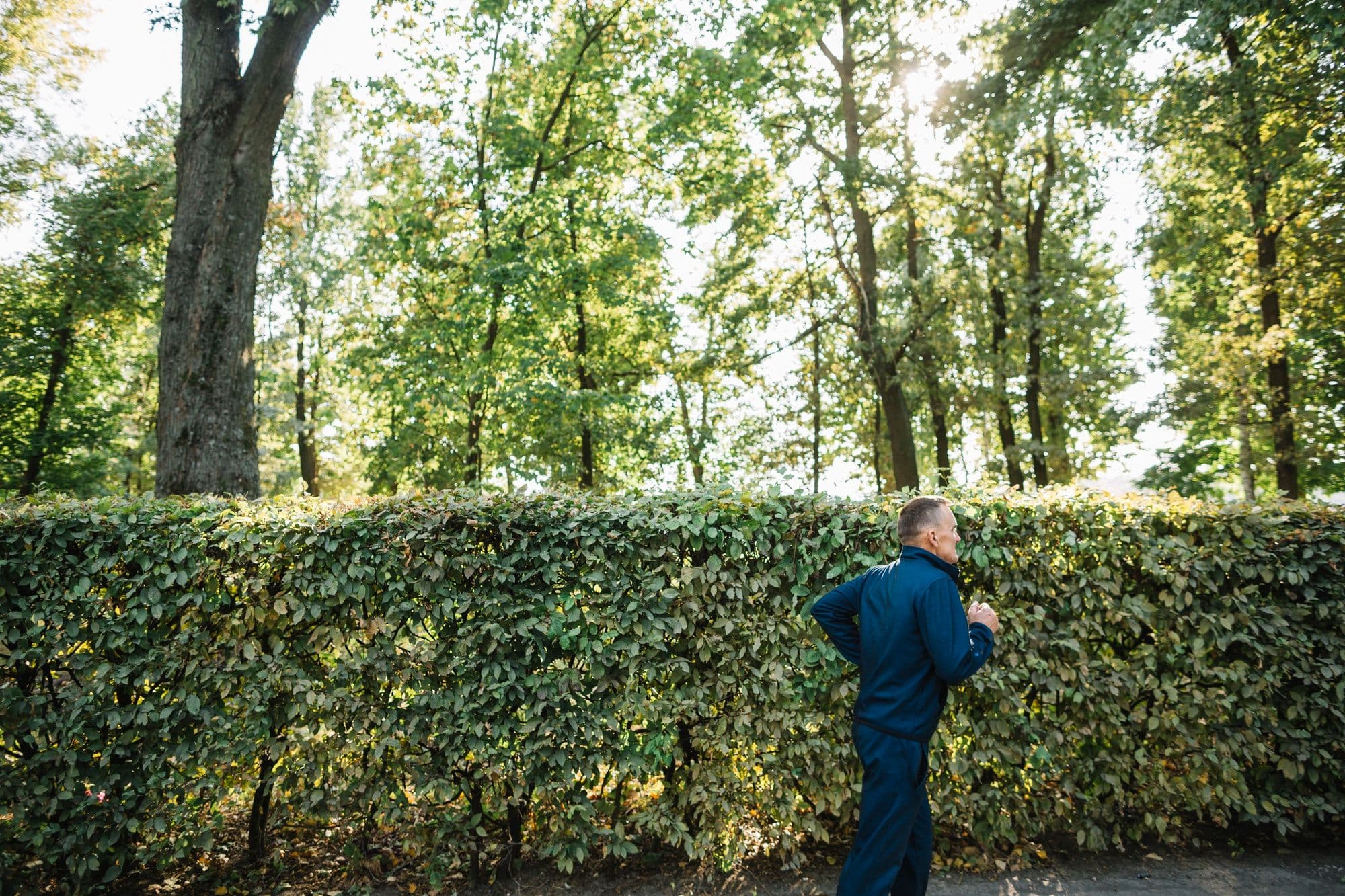 Hedge